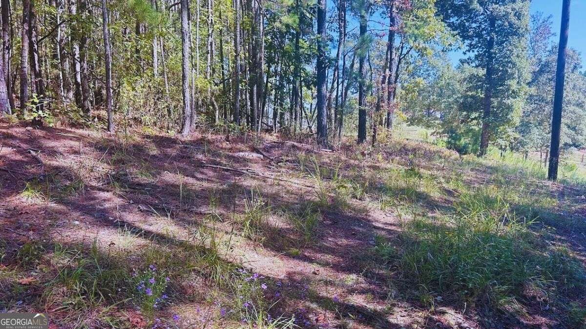 0 Williamson Road Tallapoosa - 7