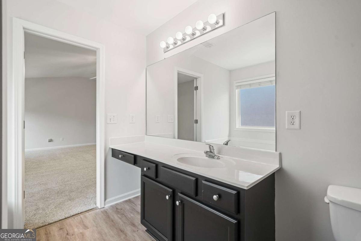 5689 Winter Bluff Way Buford - 28