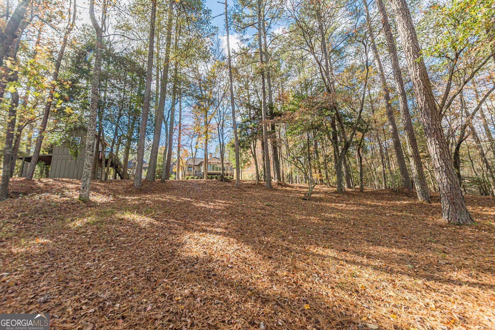 5752 PHILLIPS MILL Road Douglasville - 21