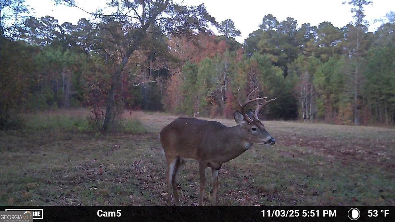 104 Beaver Dam Drive Eatonton - 53