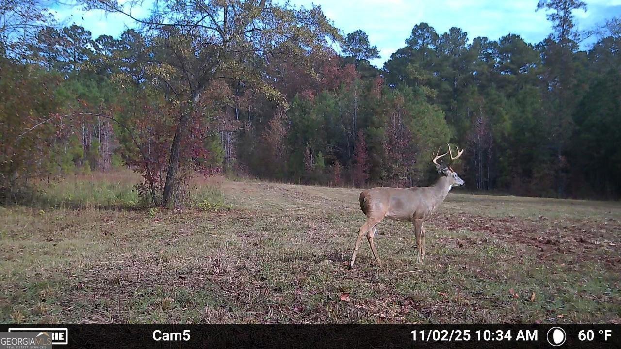 104 Beaver Dam Drive Eatonton - 54