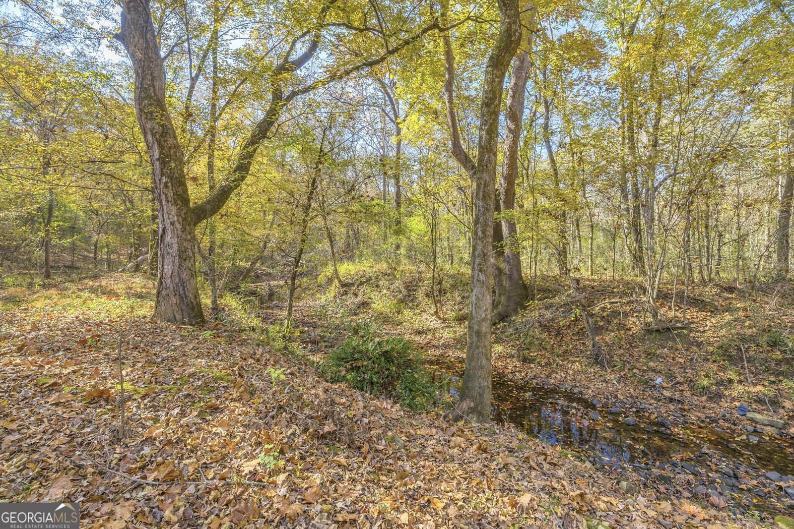 2470 Dr George Ward Drive Elberton - 60