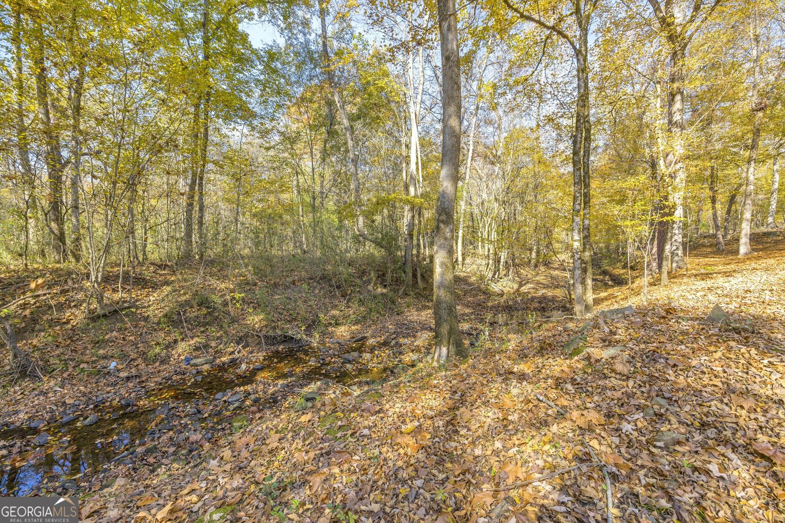 2470 Dr George Ward Drive Elberton - 61