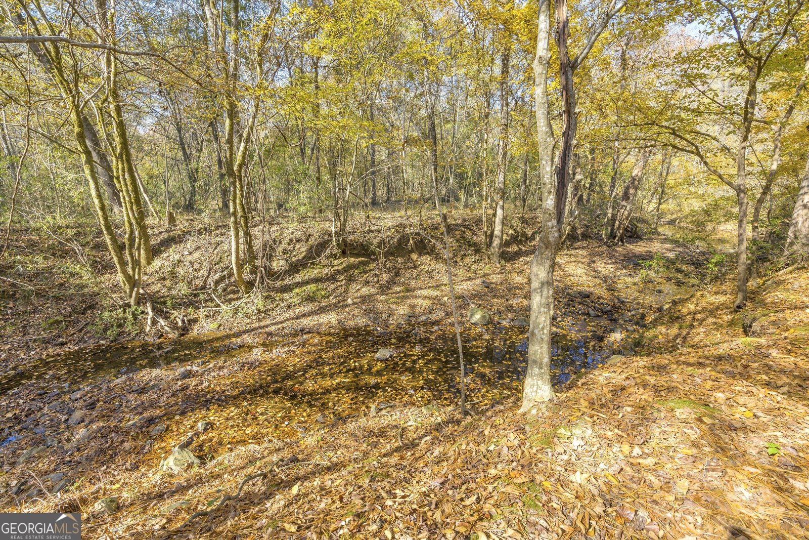 2470 Dr George Ward Drive Elberton - 62