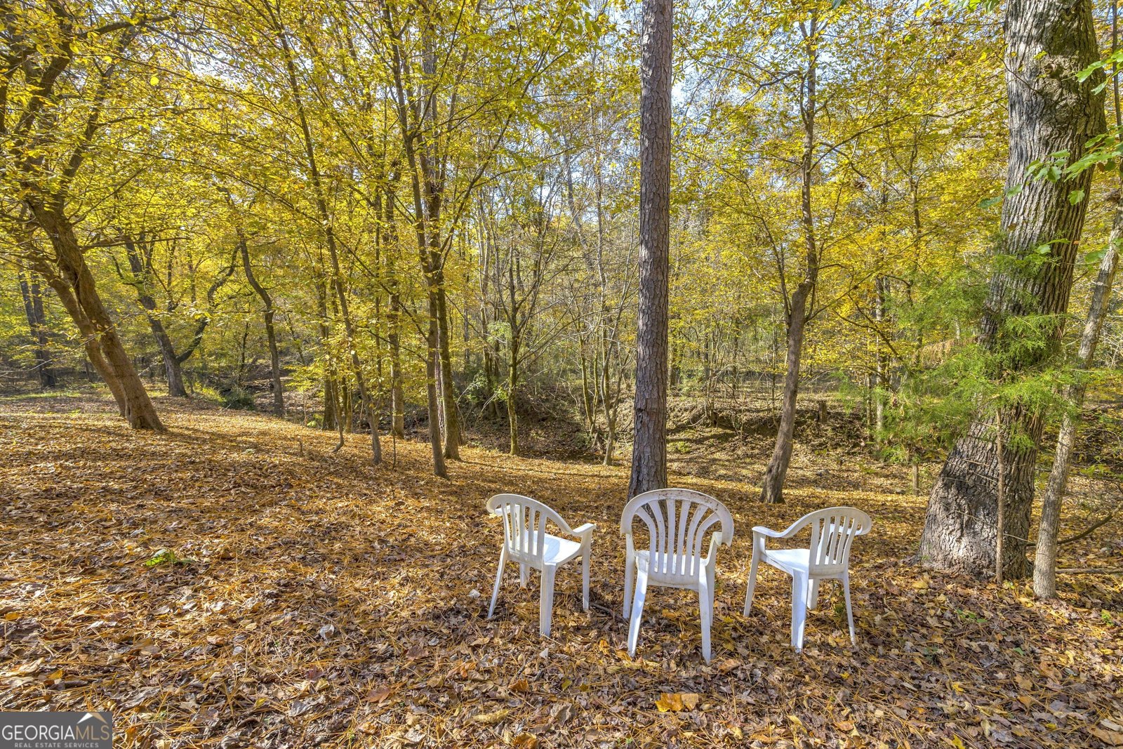 2470 Dr George Ward Drive Elberton - 63