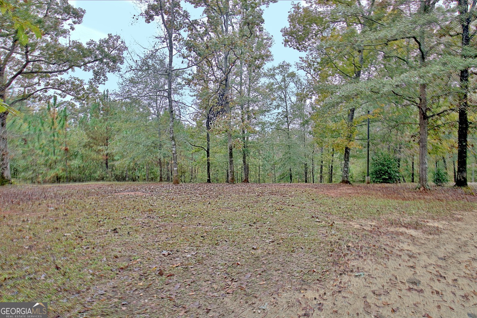 318 Chalybeate Springs Road Woodland - 56