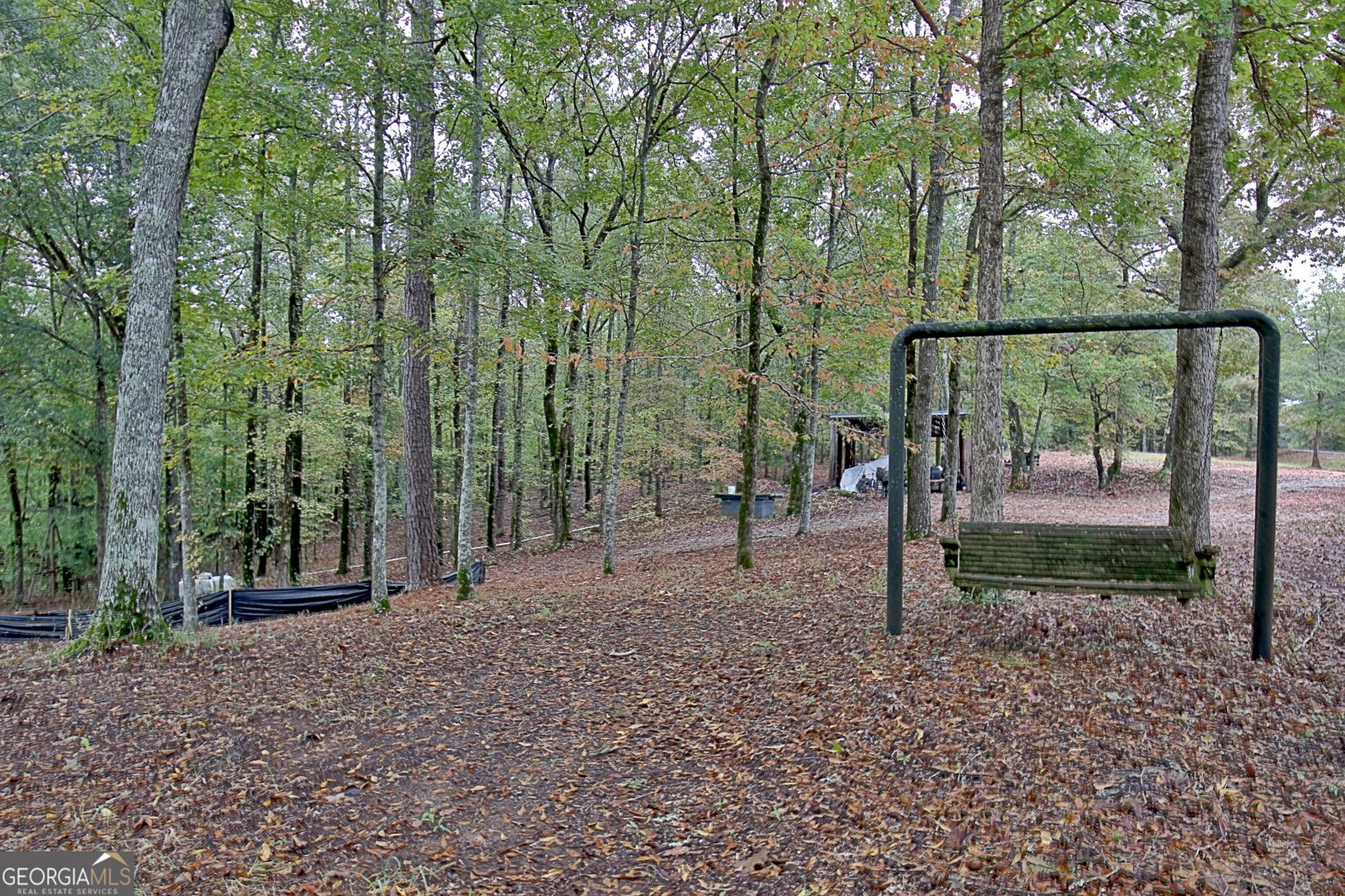 318 Chalybeate Springs Road Woodland - 57