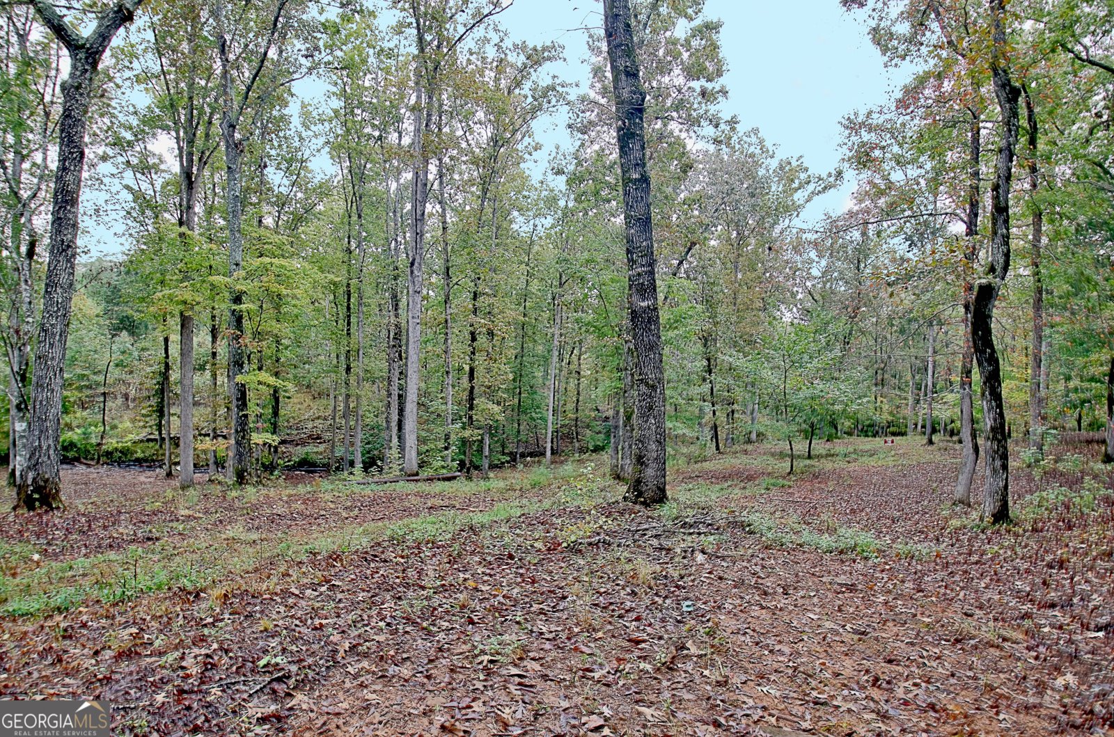 318 Chalybeate Springs Road Woodland - 64