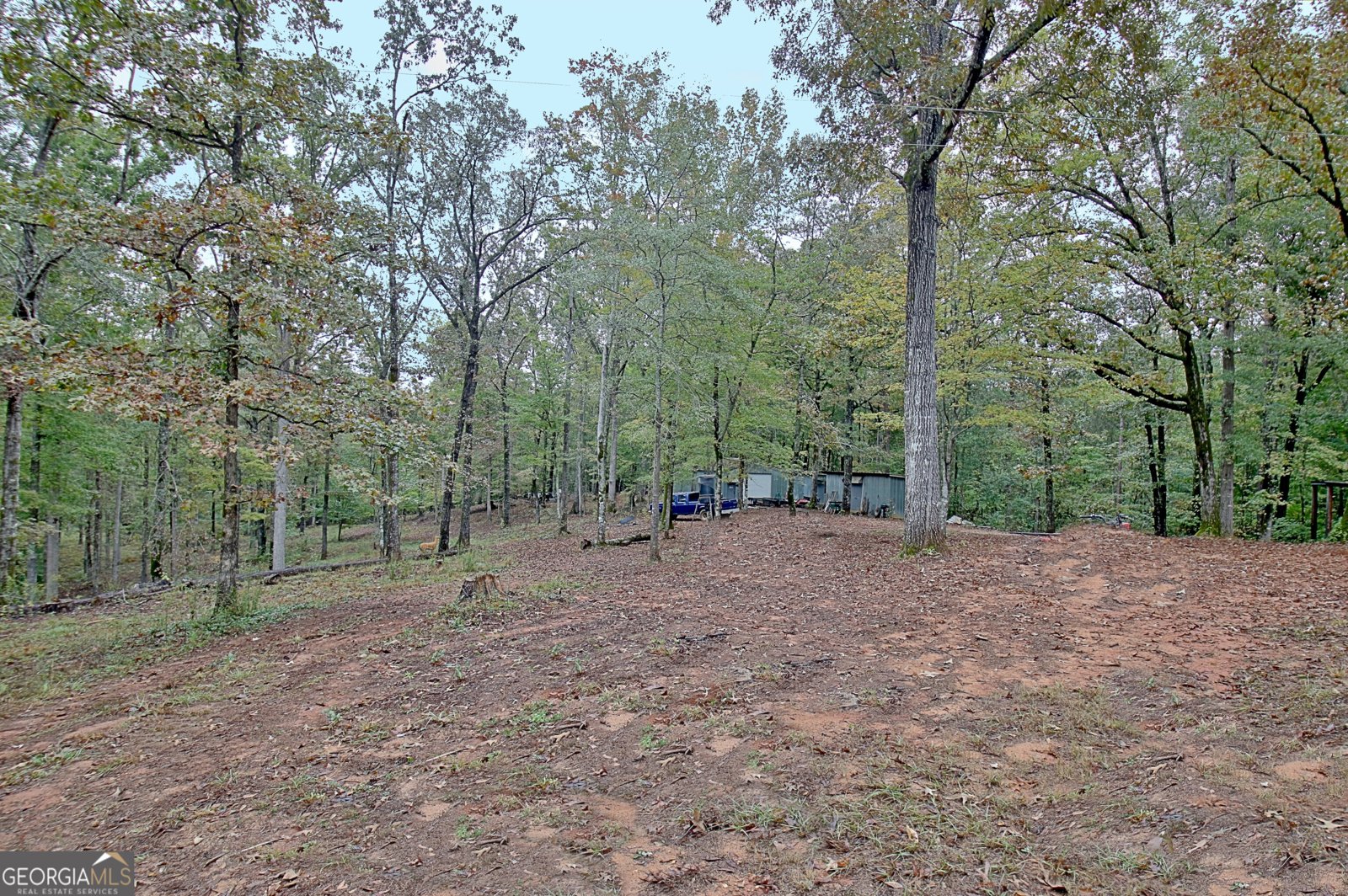 318 Chalybeate Springs Road Woodland - 66