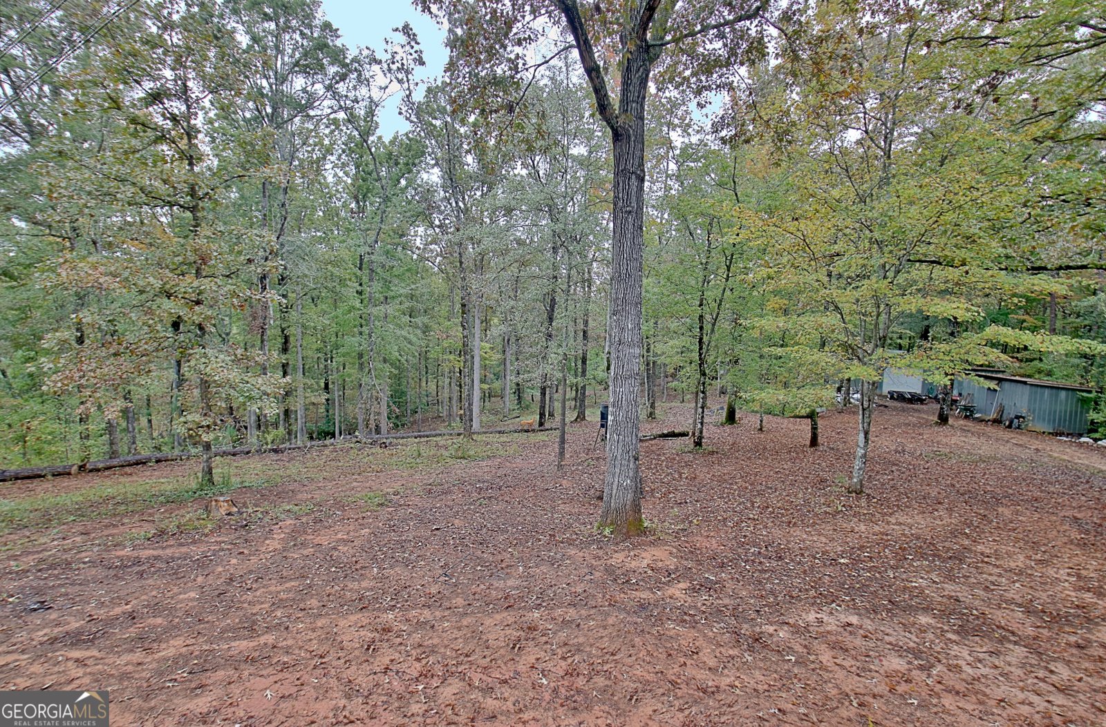 318 Chalybeate Springs Road Woodland - 67