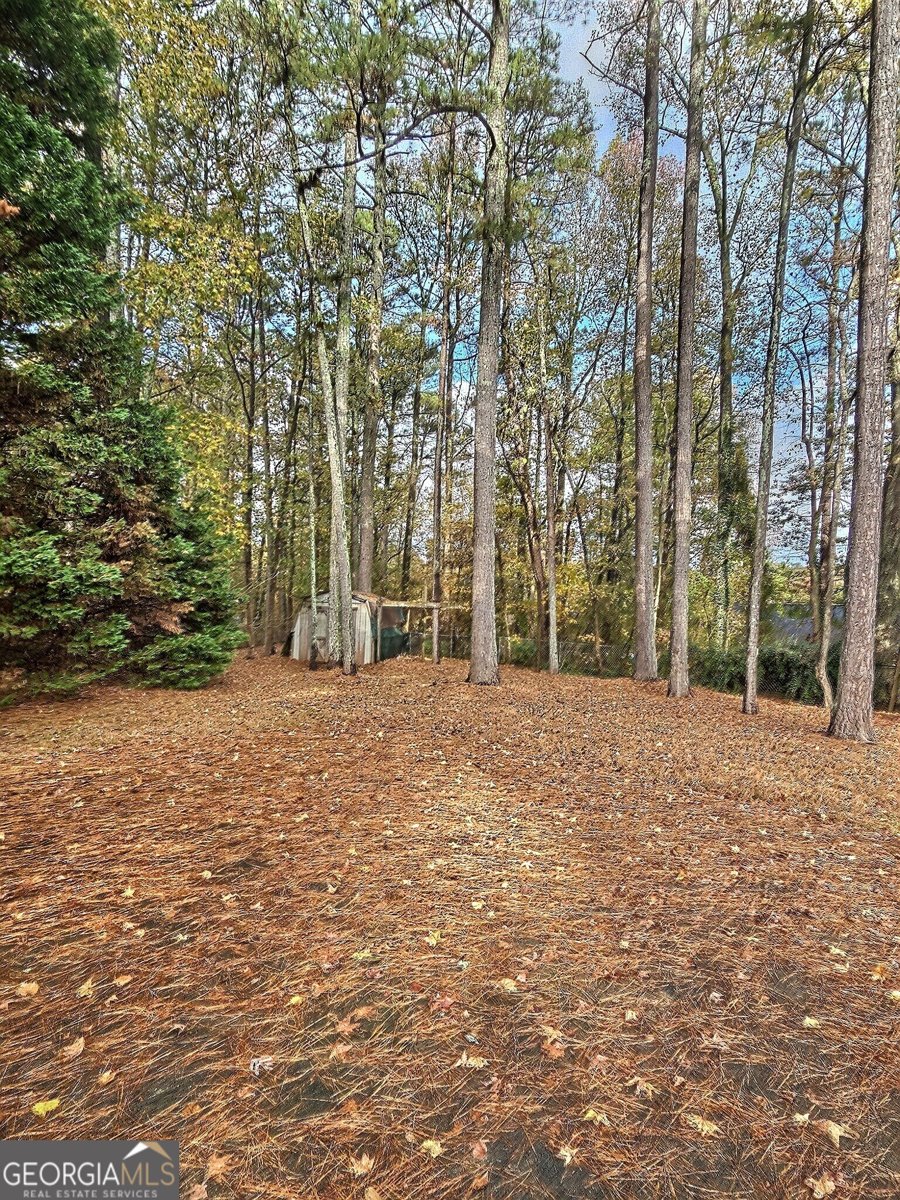 1055 Carriage Place Lithonia - 26