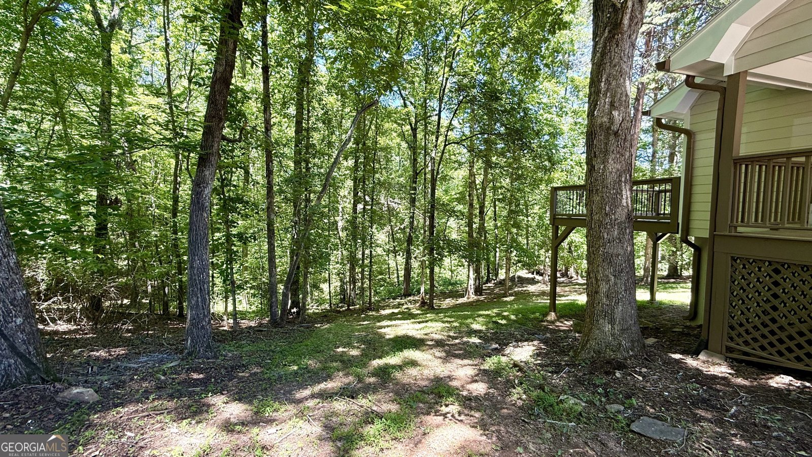 83 Austin Court Dahlonega - 3