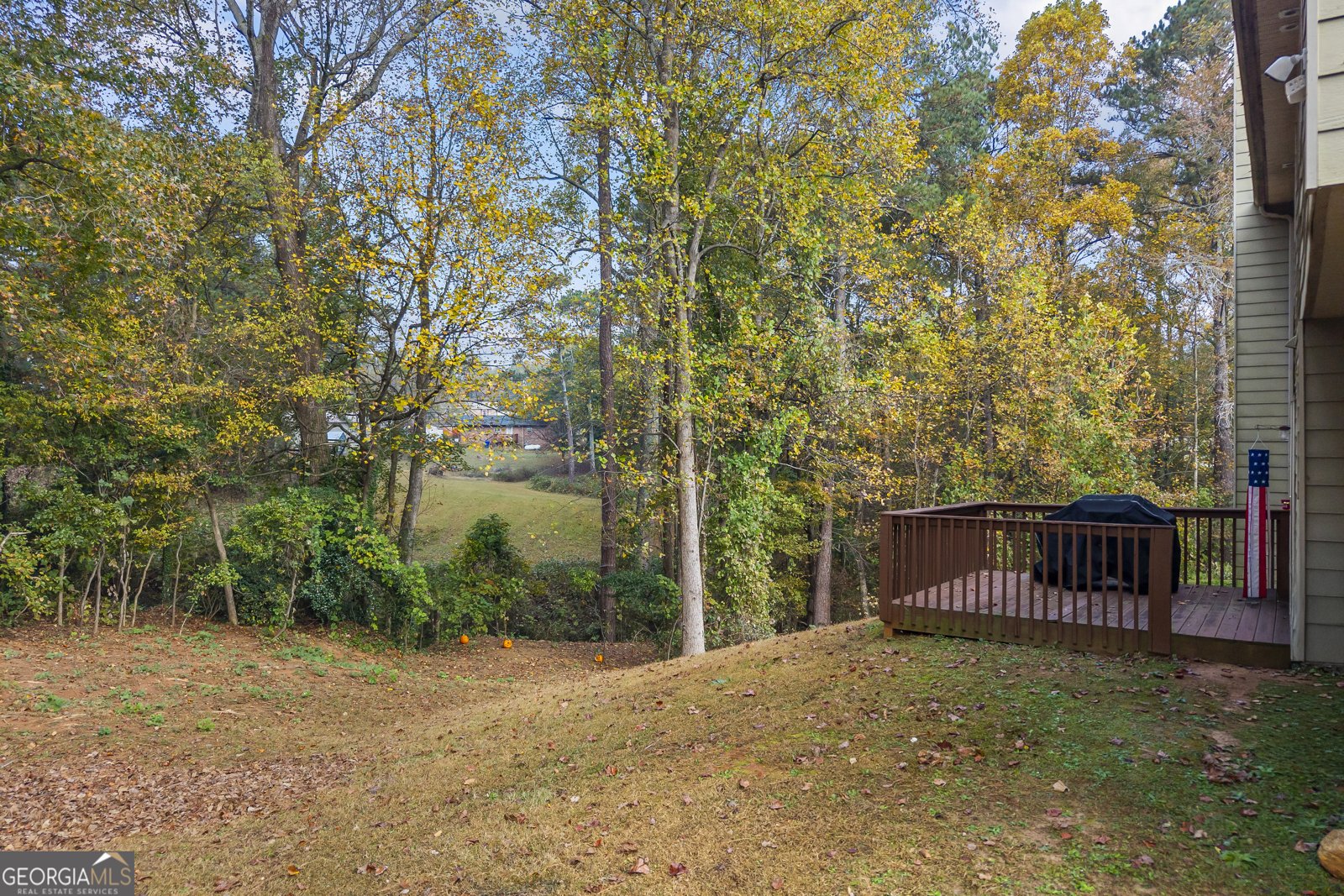 1546 Evergreen Hollow Lane Conyers - 15