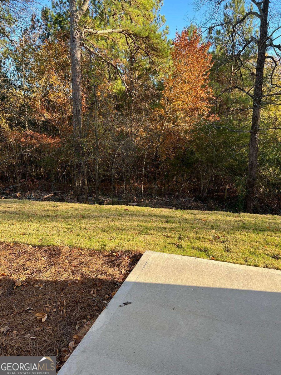 1391 Ben Park Way Grayson - 24