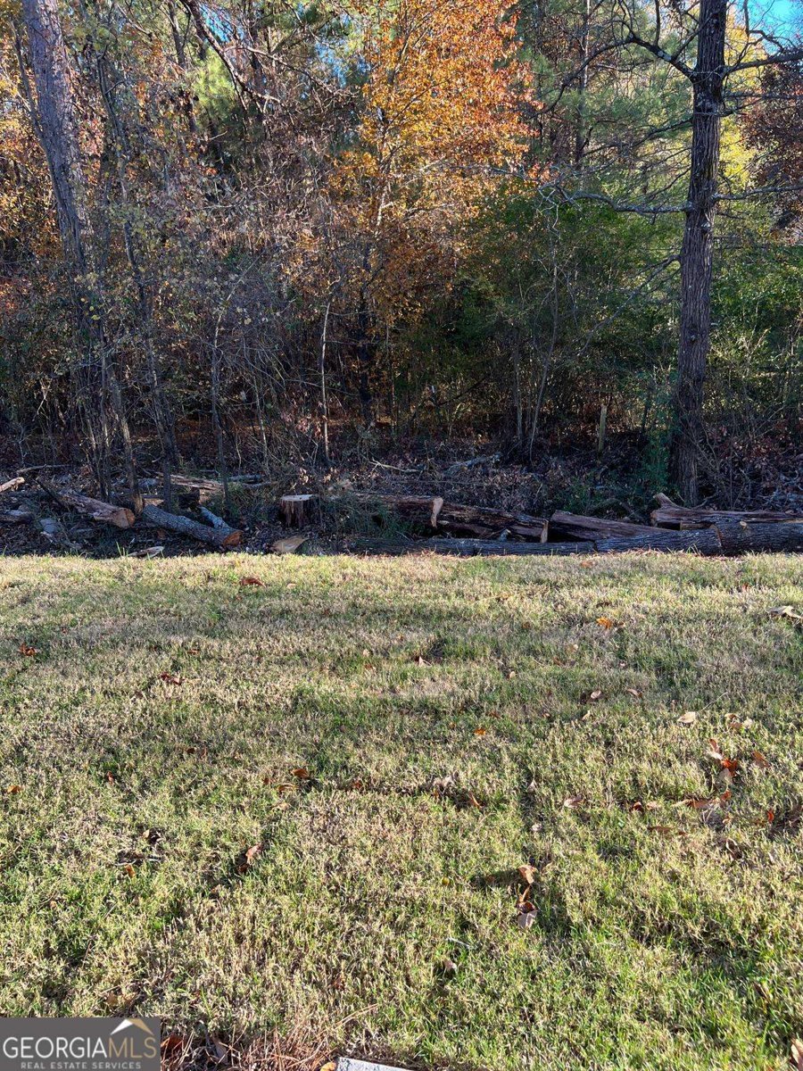 1391 Ben Park Way Grayson - 25