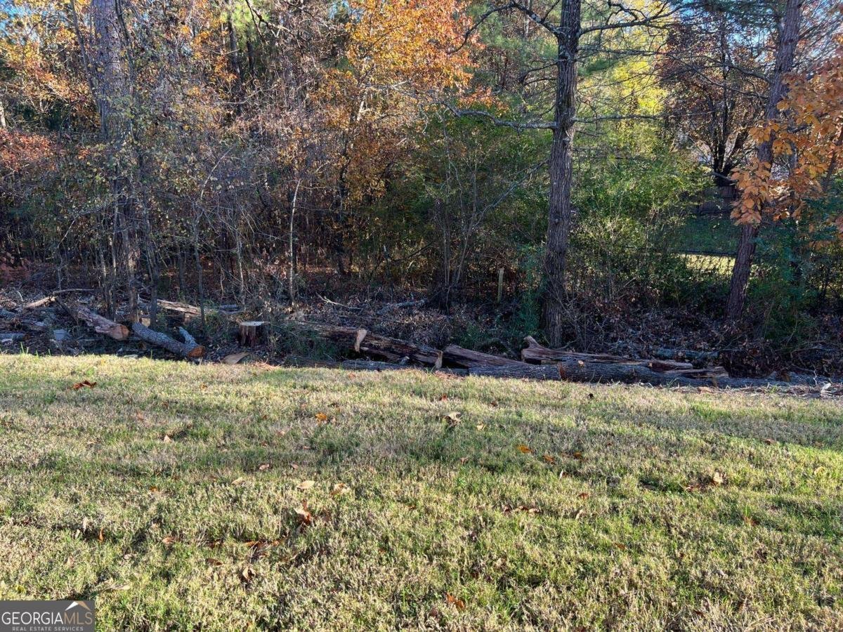 1391 Ben Park Way Grayson - 30