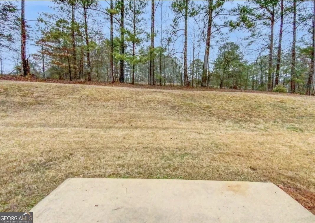 1115 Fountain Crest Drive Conyers - 18