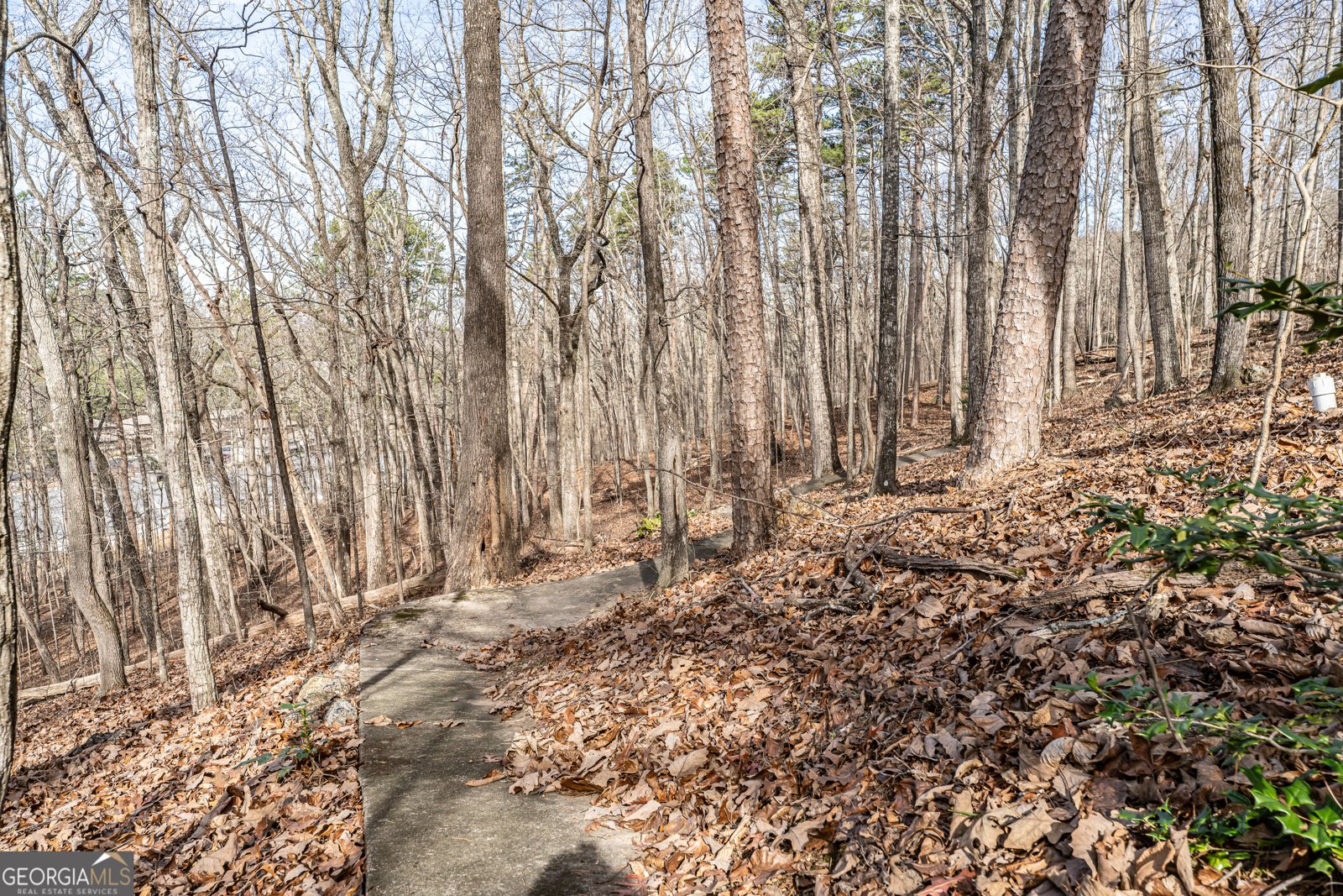 20 Coventry Drive Rome - Photo 47