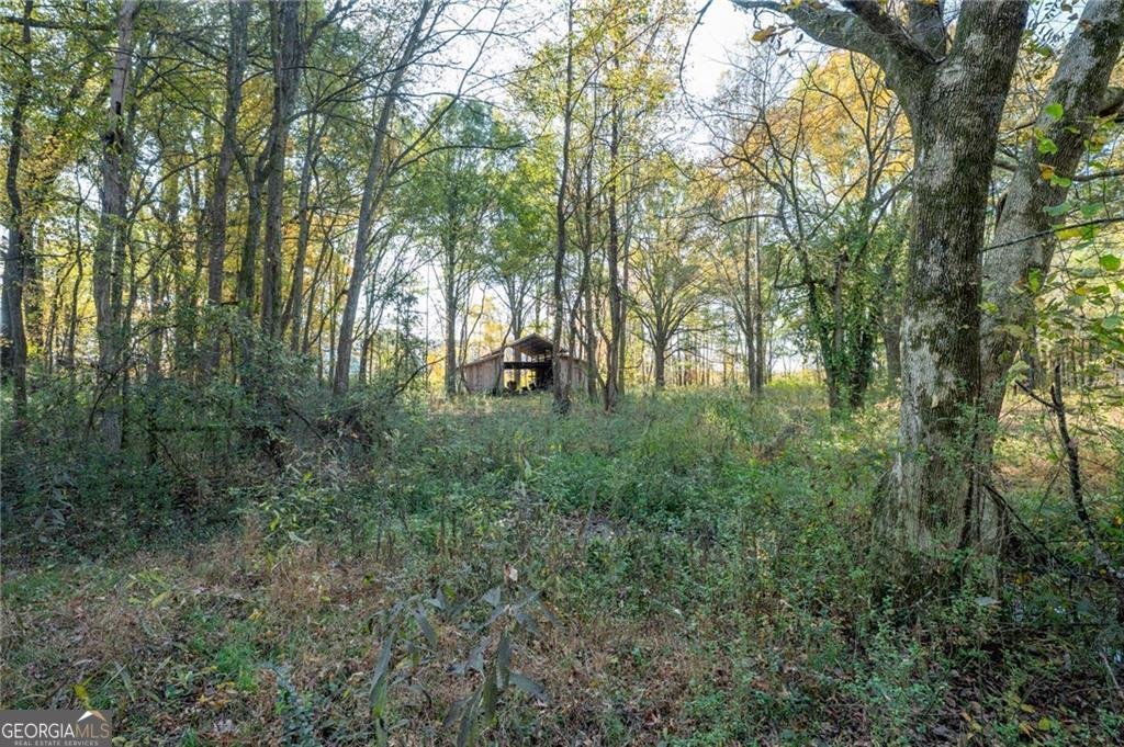 277 Belwood Drive Calhoun - 11