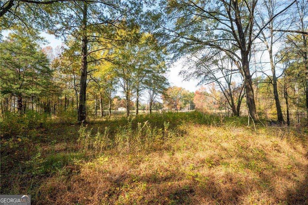 277 Belwood Drive Calhoun - 13