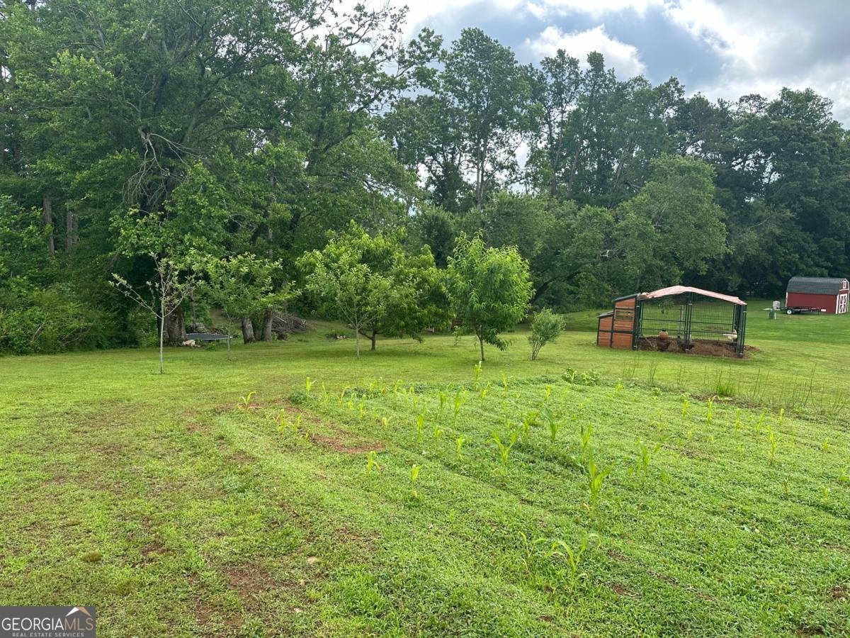 6000 John Burruss Road Cumming - 37