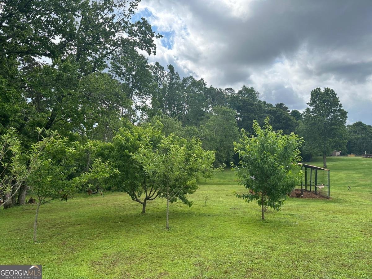 6000 John Burruss Road Cumming - 38