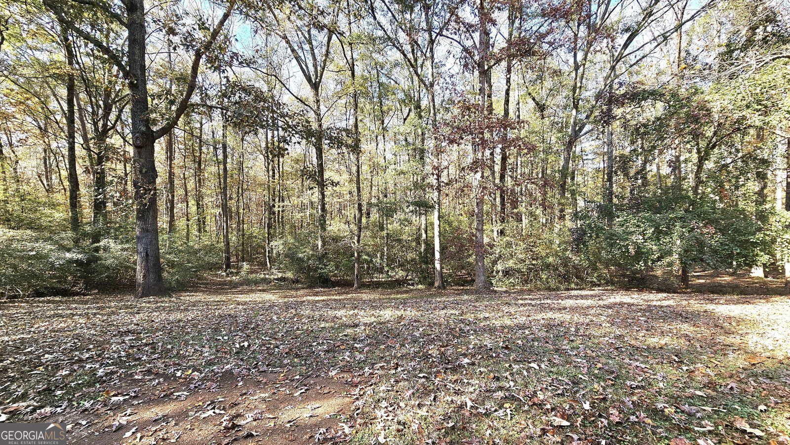 170 Gibson Way Covington - 26