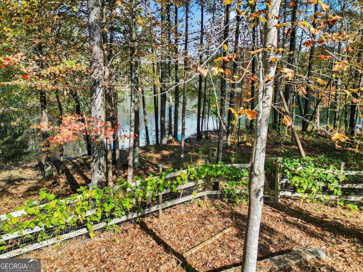 1822 Slate Road Ellenwood - 4