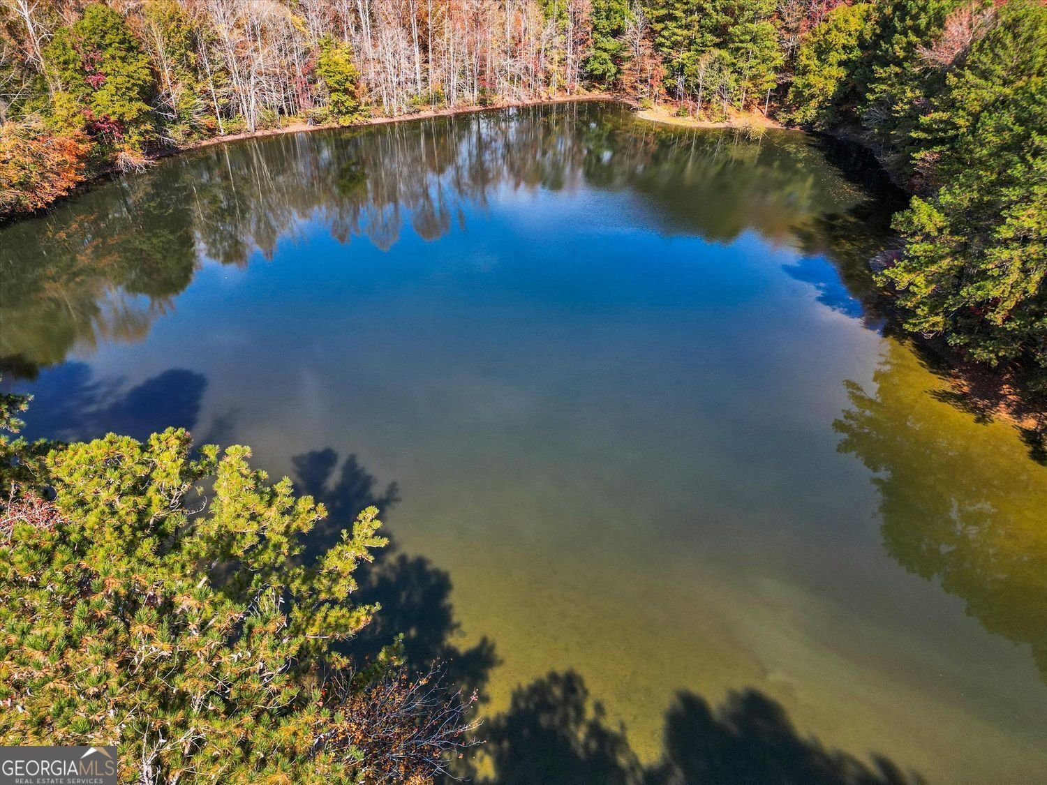 1822 Slate Road Ellenwood - 9