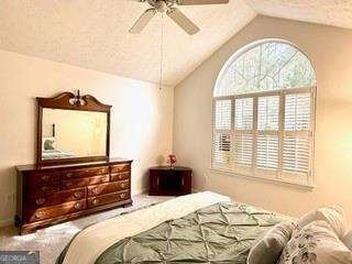 3734 Vineyards Lake Circle Kennesaw - 17