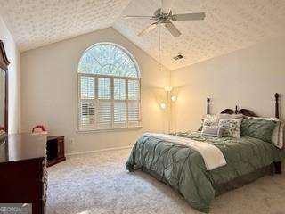 3734 Vineyards Lake Circle Kennesaw - 18