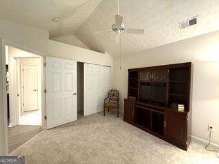 3734 Vineyards Lake Circle Kennesaw - 19