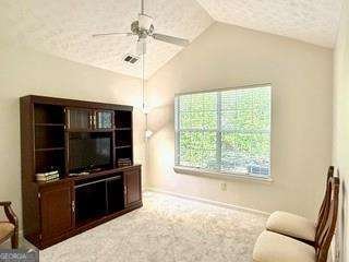 3734 Vineyards Lake Circle Kennesaw - 22