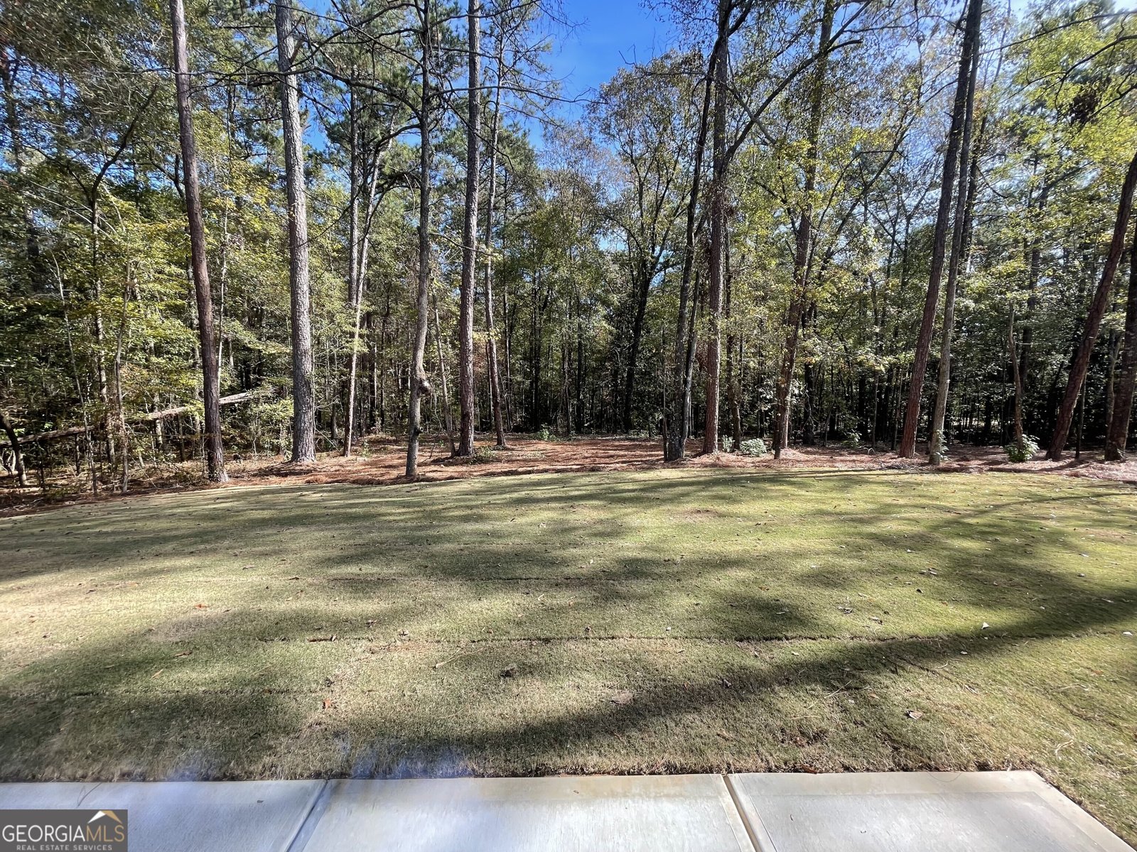 112 Holly Lane Woodbury - 6