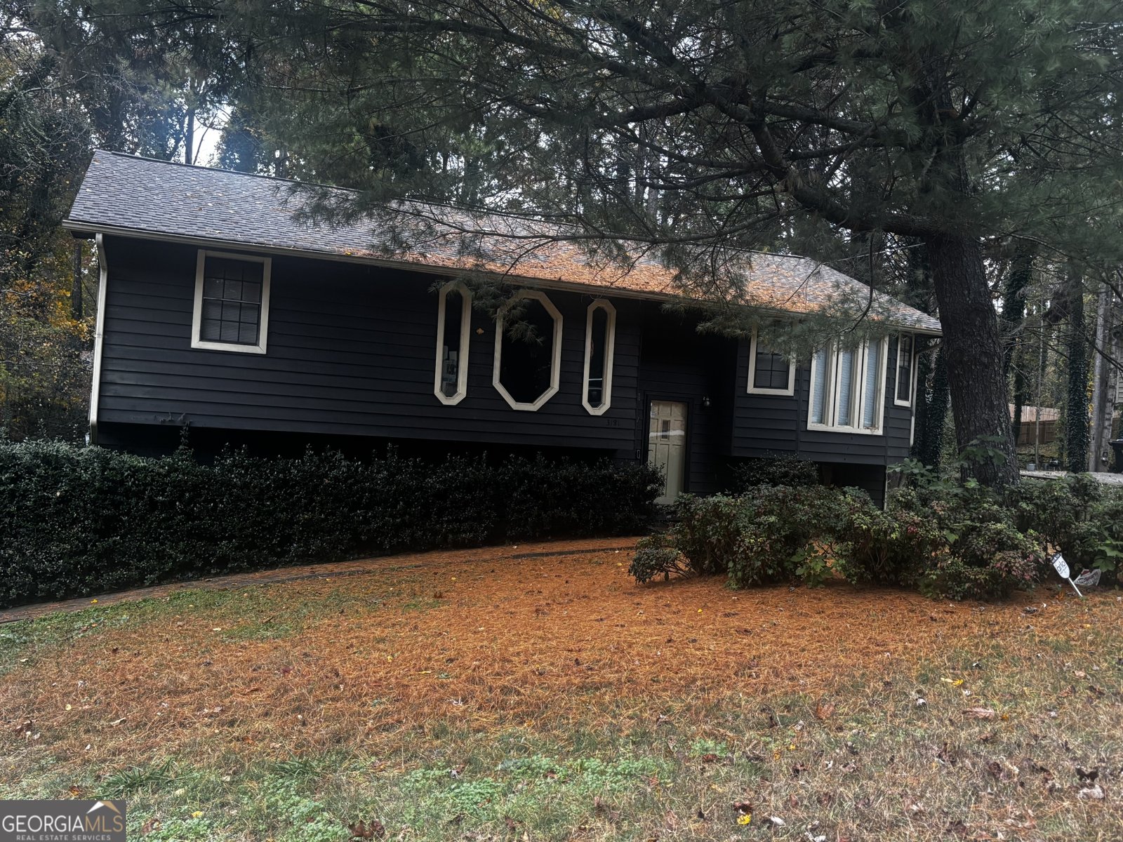 3181 Octavia Lane Snellville - 2