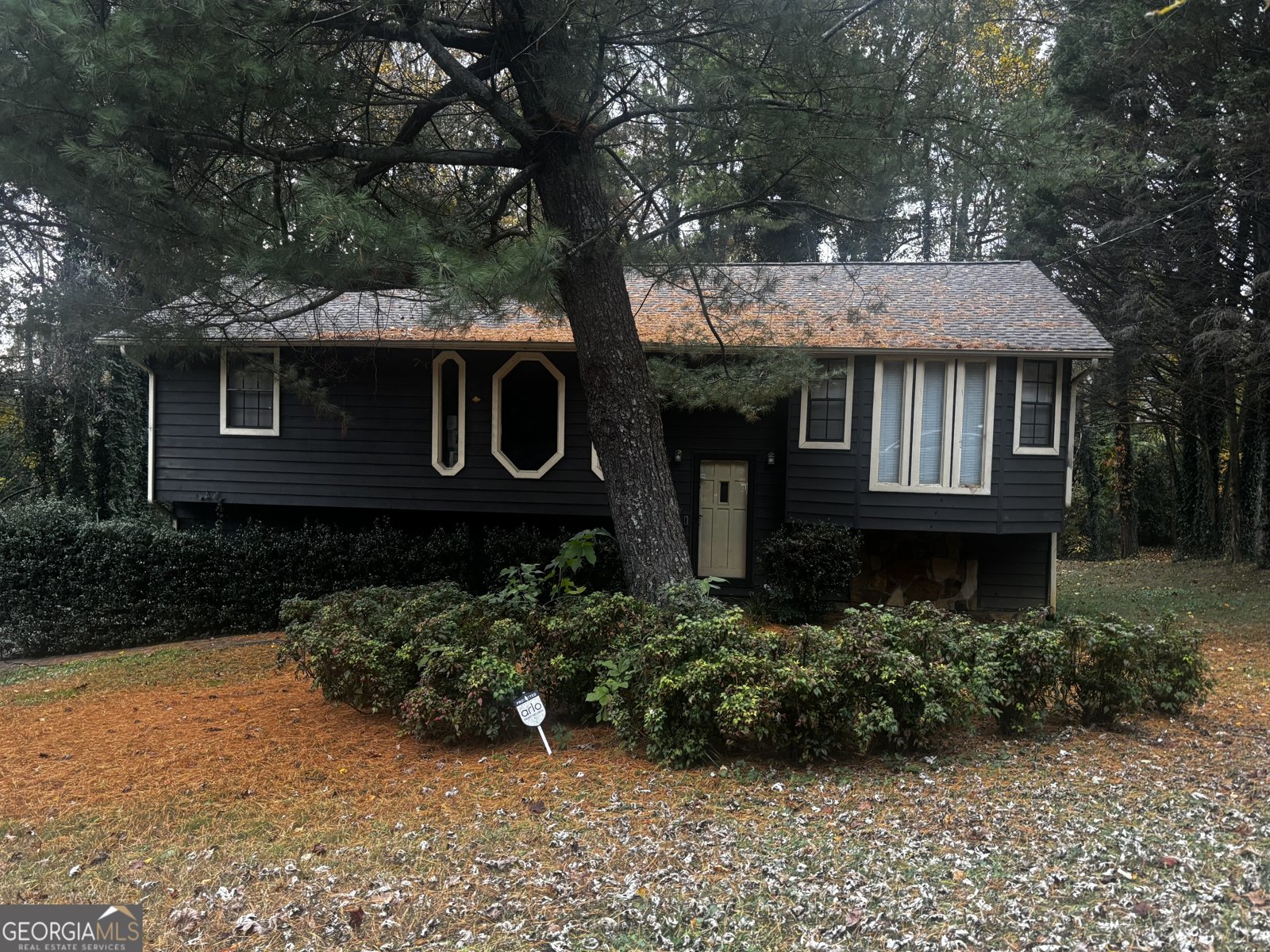 3181 Octavia Lane Snellville - 4