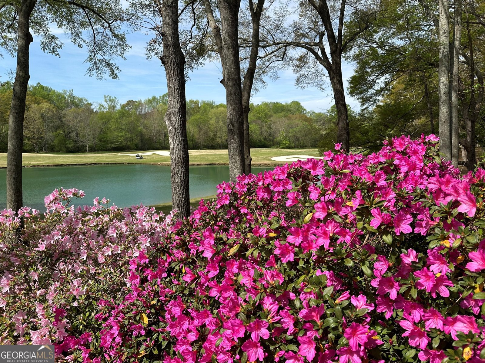 711 Bluff Road Statham - Photo 71