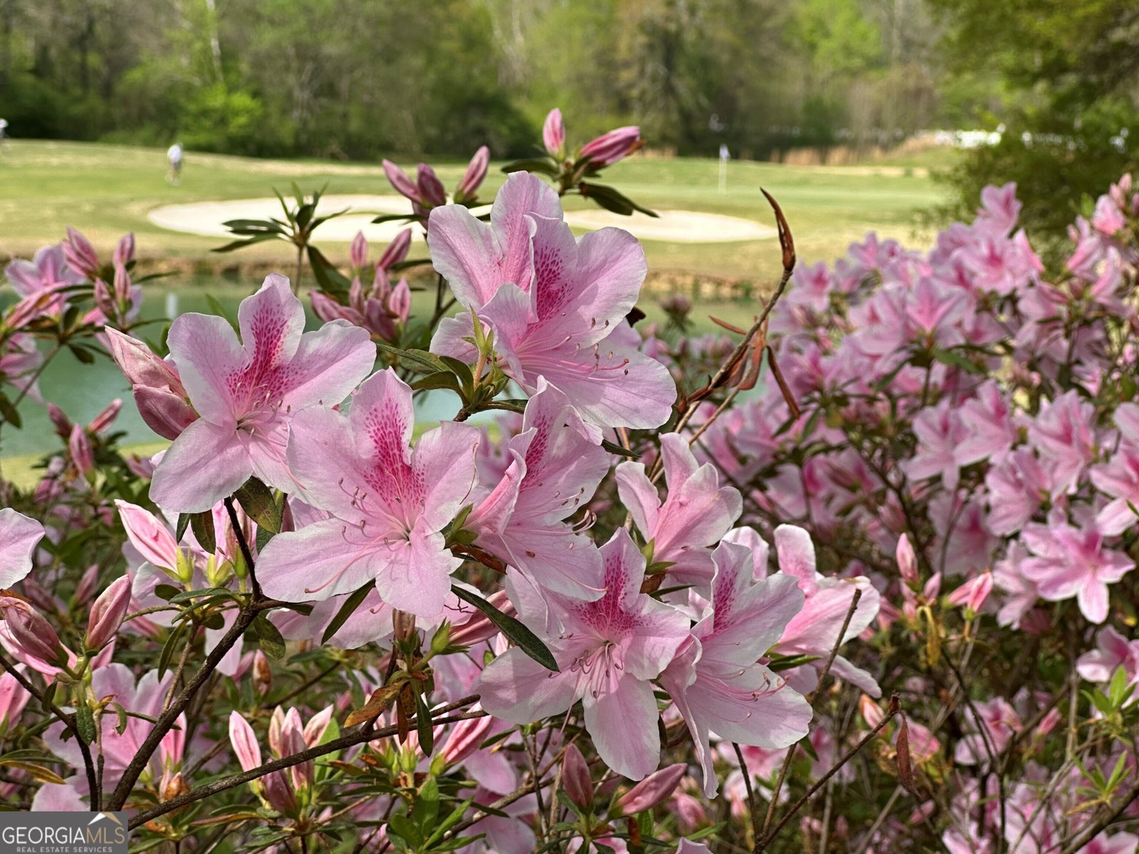 711 Bluff Road Statham - Photo 72