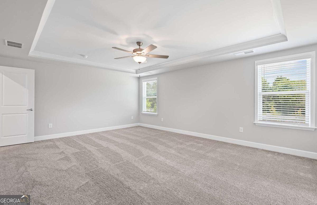 233 Kindness Circle Mcdonough - 12