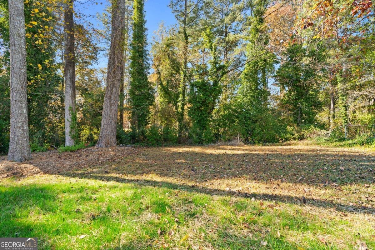 2851 Dale Drive Marietta - 38