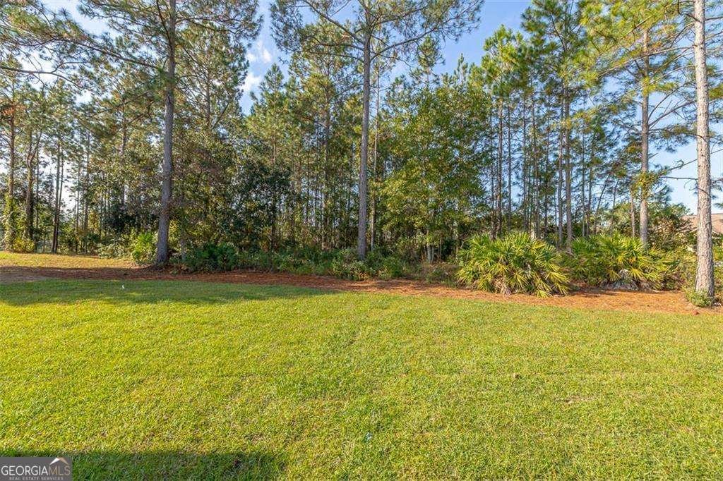 115 Silver Bluff Drive Brunswick - 31