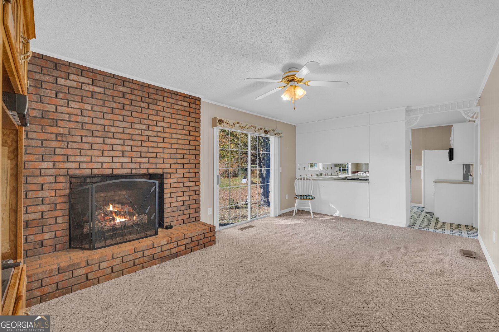 2207 Blacksnake Road Mount Airy - 25