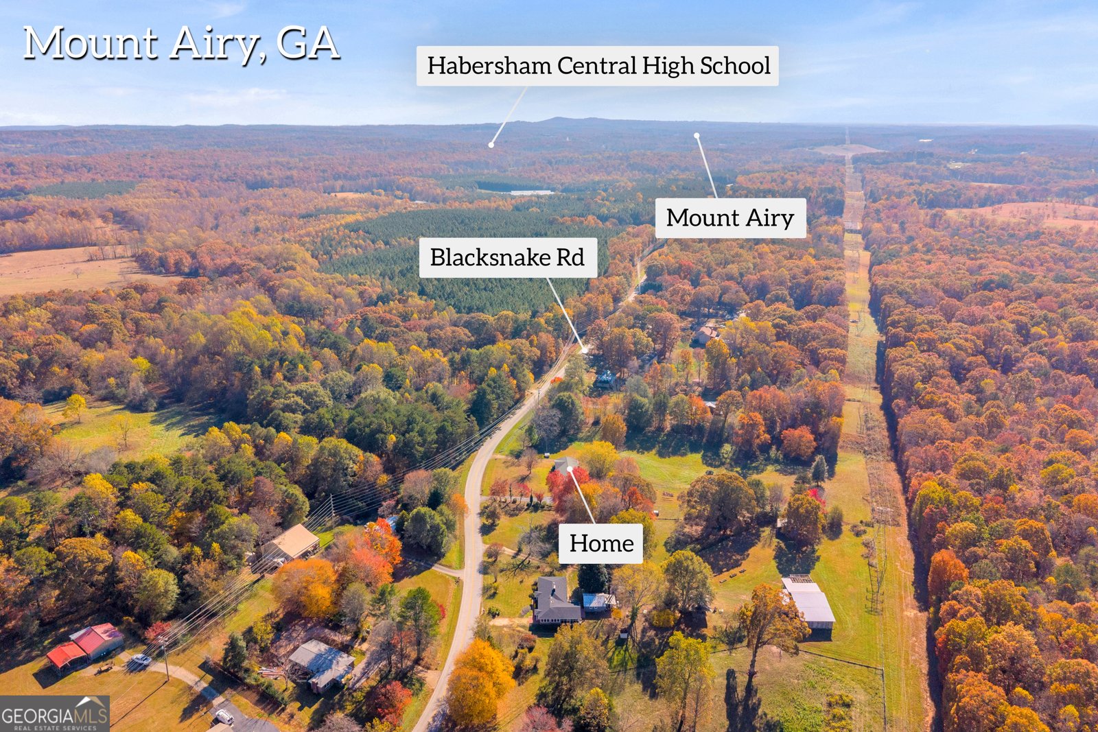 2207 Blacksnake Road Mount Airy - 3