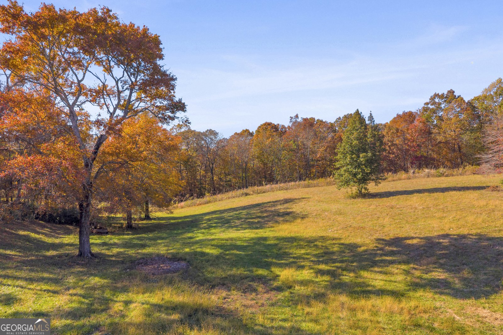 2207 Blacksnake Road Mount Airy - 62