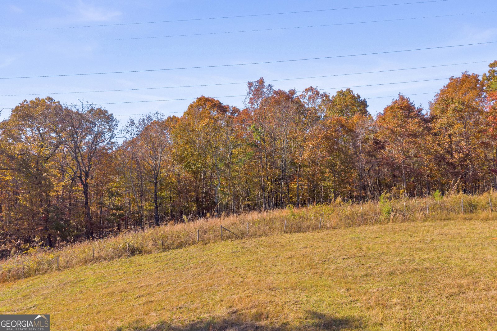 2207 Blacksnake Road Mount Airy - 63