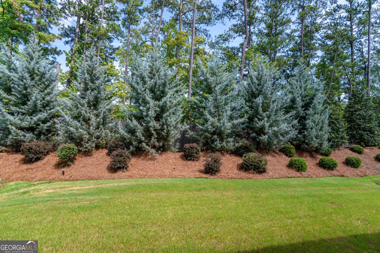 7 Hickory Branch Hiram - 25