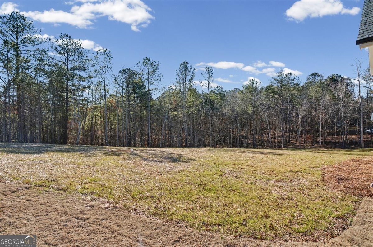 994 Cable Road Waleska - Photo 53