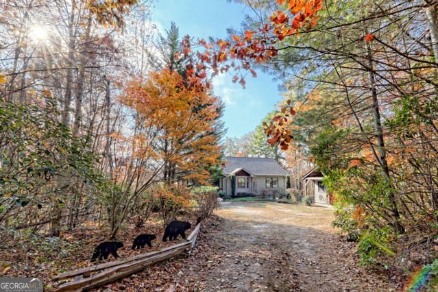 117 Avalon Street Clayton - 56