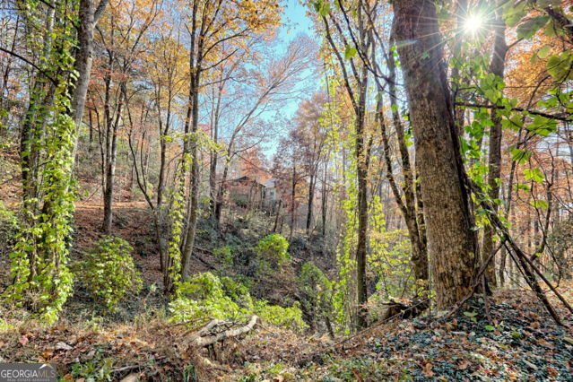 117 Avalon Street Clayton - 65