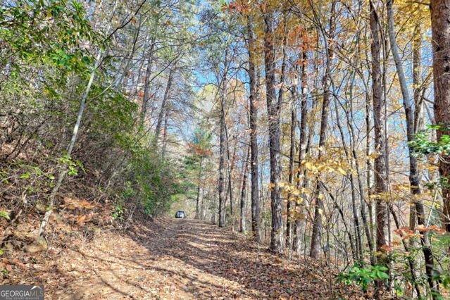 117 Avalon Street Clayton - 66